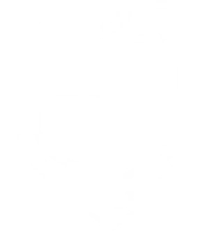 Vels University
