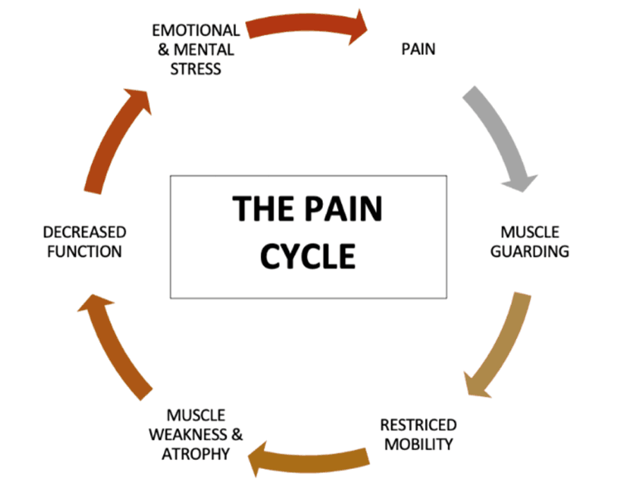 virtual reality physiotherapy